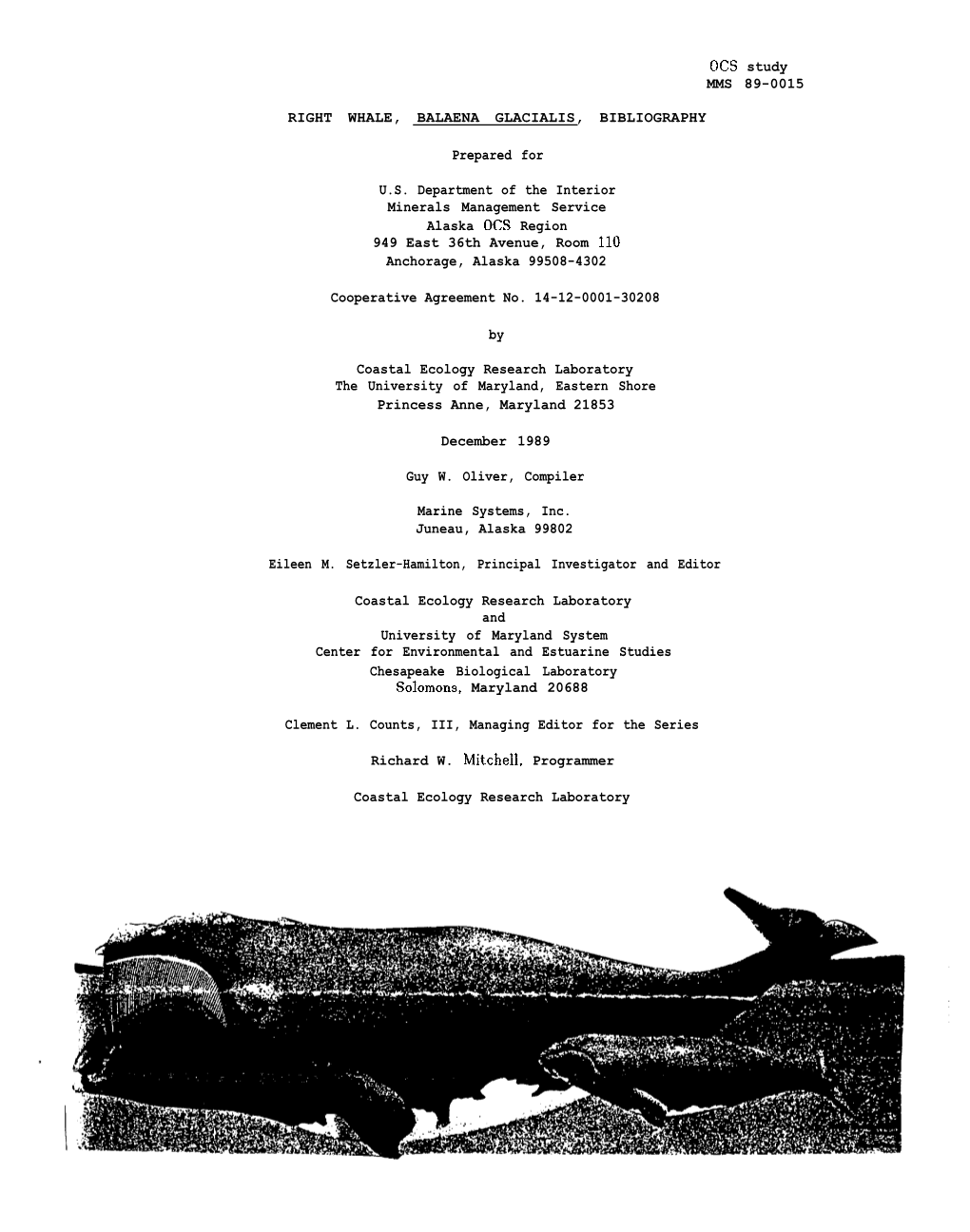 0(2S Study MMS 89-0015 RIGHT WHALE, BALAENA GLACIALIS