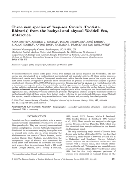 Three New Species of Deepsea Gromia (Protista, Rhizaria) from The