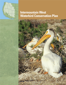 Intermountain West Waterbird Conservation Plan