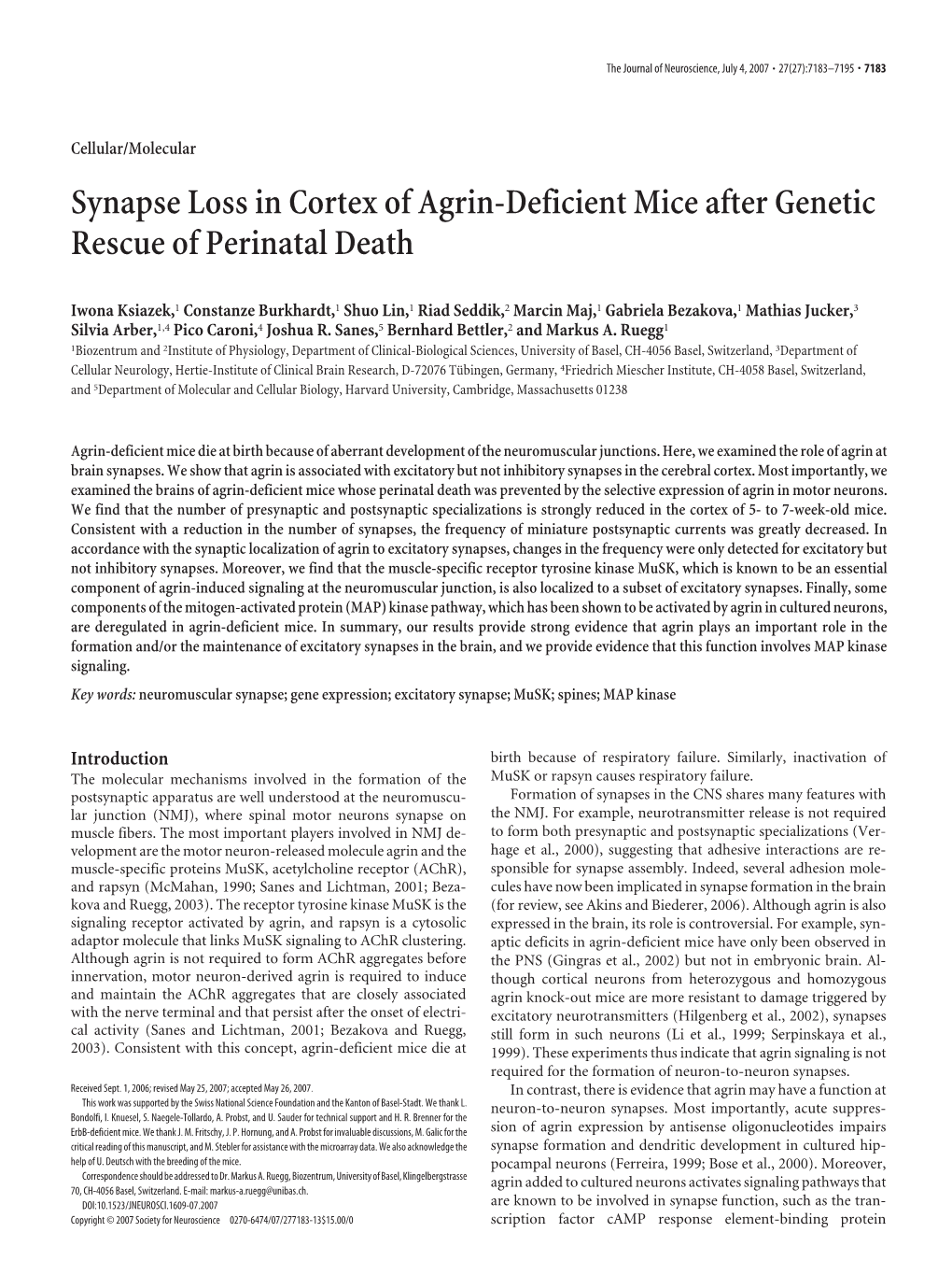 Synapse Loss in Cortex of Agrin-Deficient Mice After Genetic Rescue of Perinatal Death
