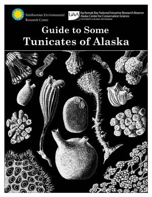 Tunicates of Alaska What Is a Tunicate?