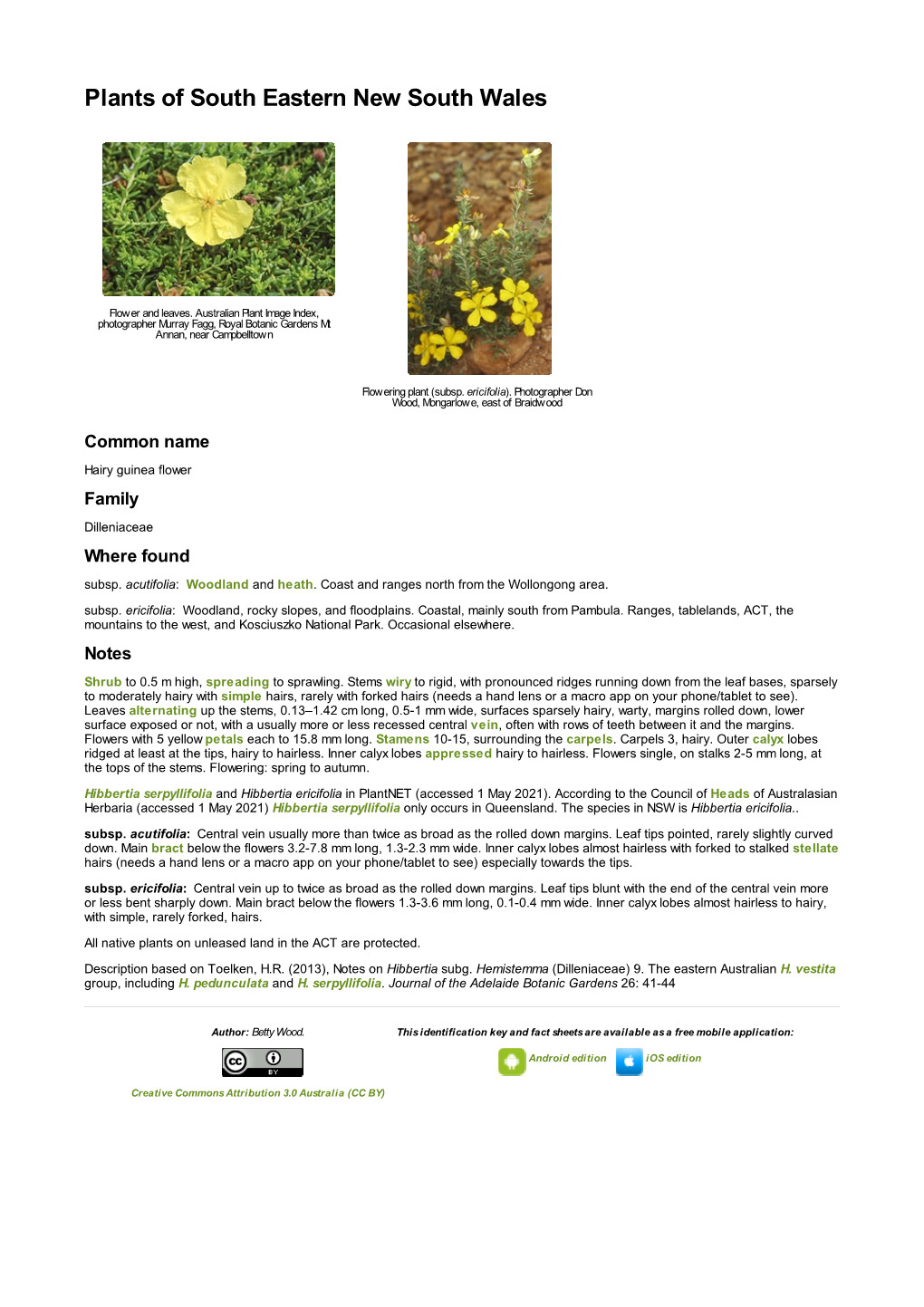 Hibbertia Ericifolia in Plantnet (Accessed 1 May 2021)