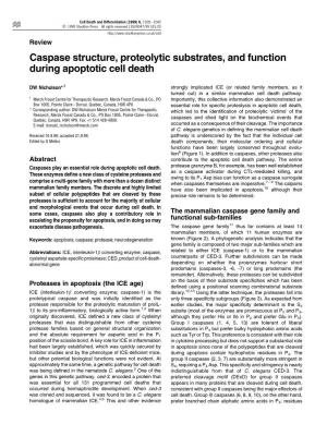 Caspase Structure, Proteolytic Substrates, and Function During Apoptotic Cell Death