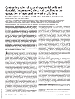 Contrasting Roles of Axonal (Pyramidal Cell) and Dendritic (Interneuron) Electrical Coupling in the Generation of Neuronal Network Oscillations