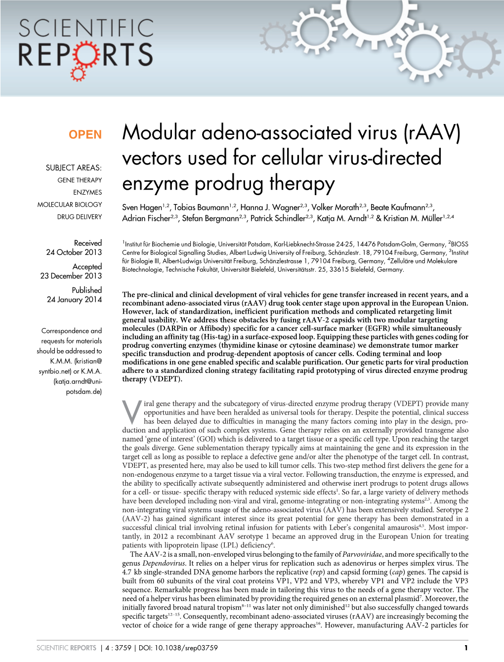 Modular Adeno-Associated Virus (Raav)