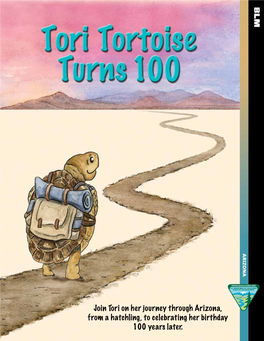 Tori Tortoise Turns