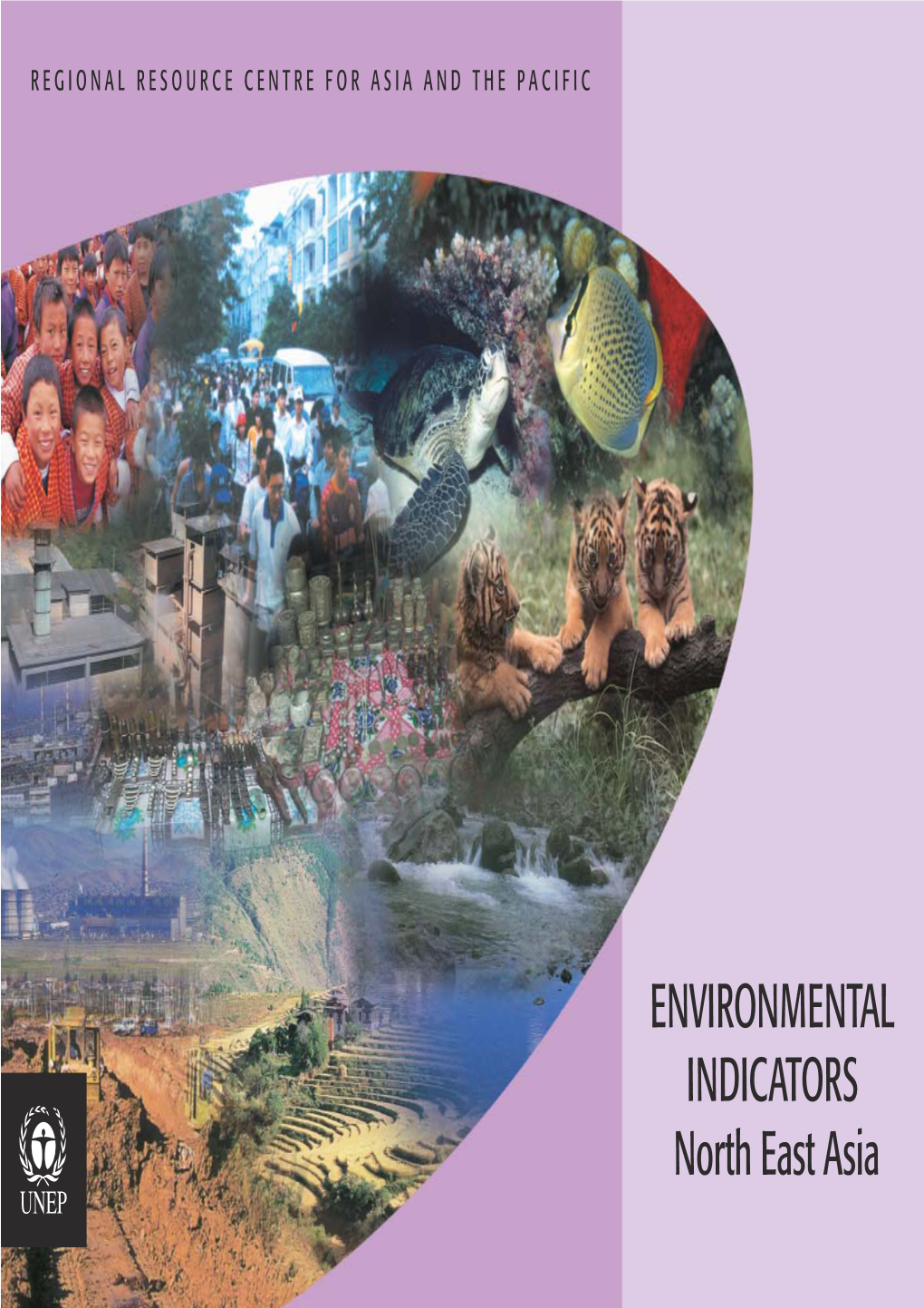 ENVIRONMENTAL INDICATORS North East Asia