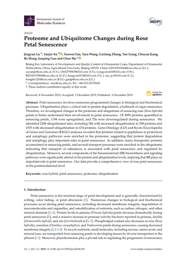 Proteome and Ubiquitome Changes During Rose Petal Senescence