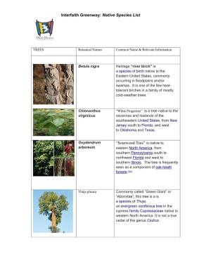 Interfaith Greenway: Native Species List “Sourwood Tree”