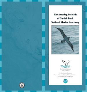 The Amazing Seabirds of Cordell Bank National Marine Sanctuary