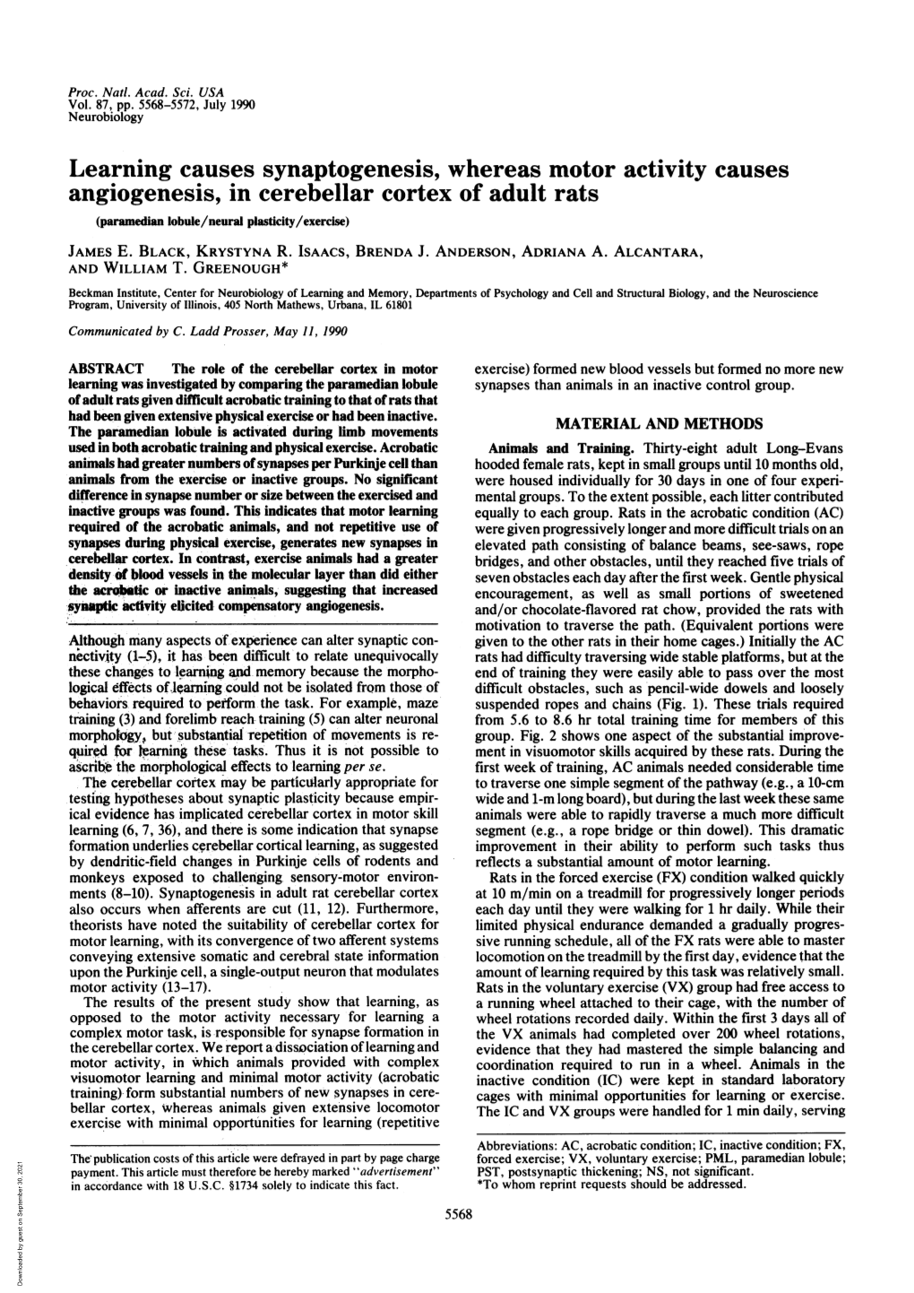 Learning Causes Synaptogenesis, Whereas Motor Activity Causes Angiogenesis, in Cerebellar Cortex of Adult Rats (Paramedian Lobule/Neural Plasticity/Exercise) JAMES E