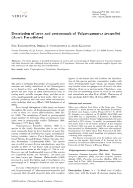 Description of Larva and Protonymph of Vulgarogamasus Kraepelini (Acari: Parasitidae)