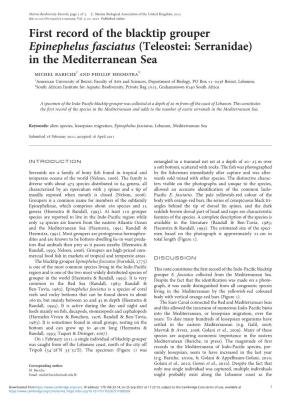 First Record of the Blacktip Grouper Epinephelus Fasciatus (Teleostei: Serranidae) in the Mediterranean
