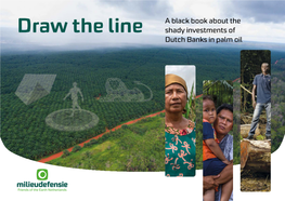 Draw the Line a Black Book About the Shady Investments of Dutch Banks Into Palm Oil