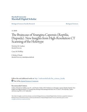 The Braincase of Youngina Capensis (Reptilia, Diapsida): New Insights from High-Resolution Ct Scanning of the Holotype
