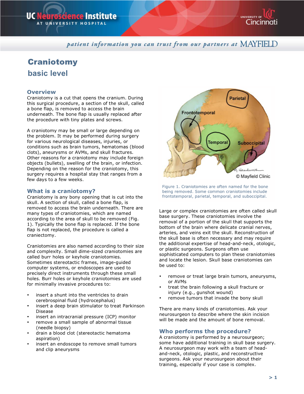 Craniotomy Basic Level