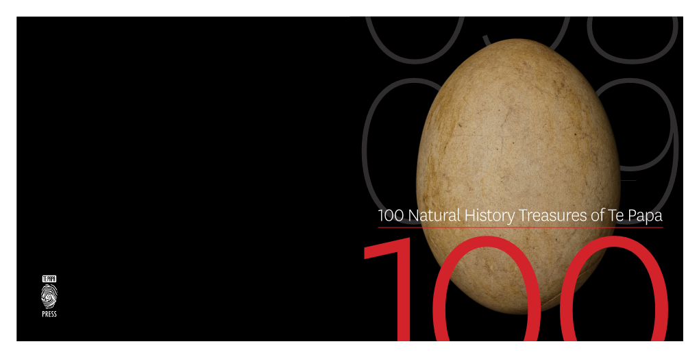 Look Inside 100 Natural History Treasures of Te