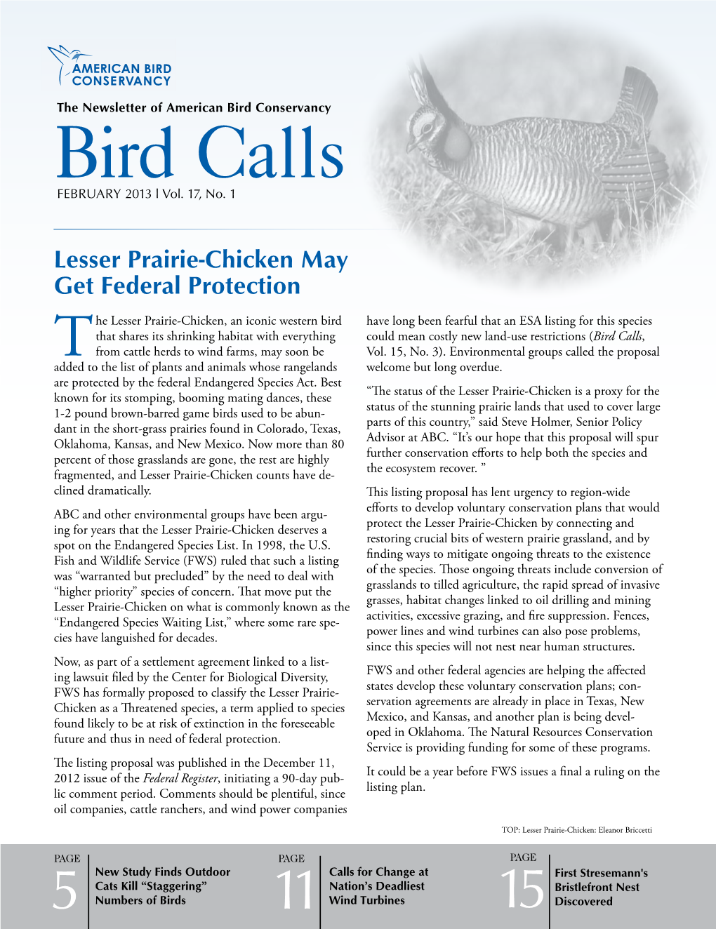 Bird Calls FEBRUARY 2013 L Vol