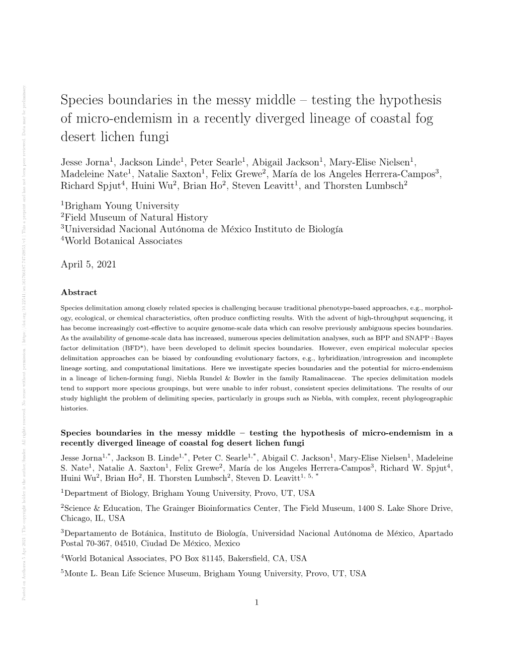 Species Boundaries in the Messy Middle