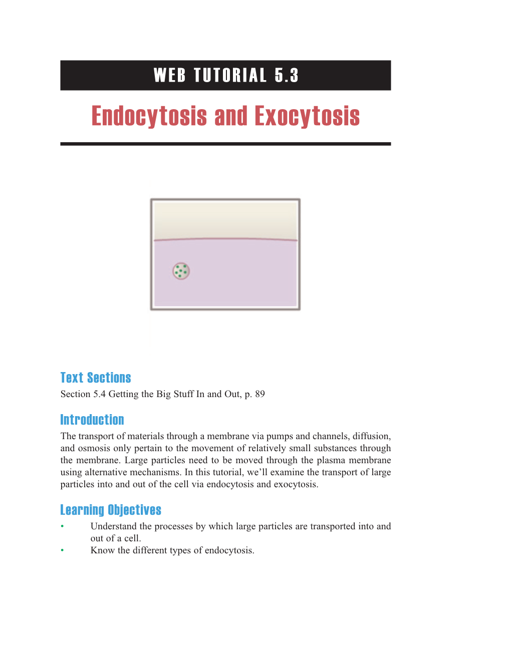 Endocytosis and Exocytosis