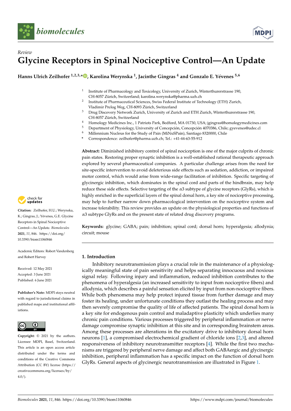 Glycine Receptors in Spinal Nociceptive Control—An Update