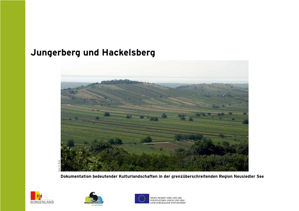 Jungerberg Und Hackelsberg Foto: R