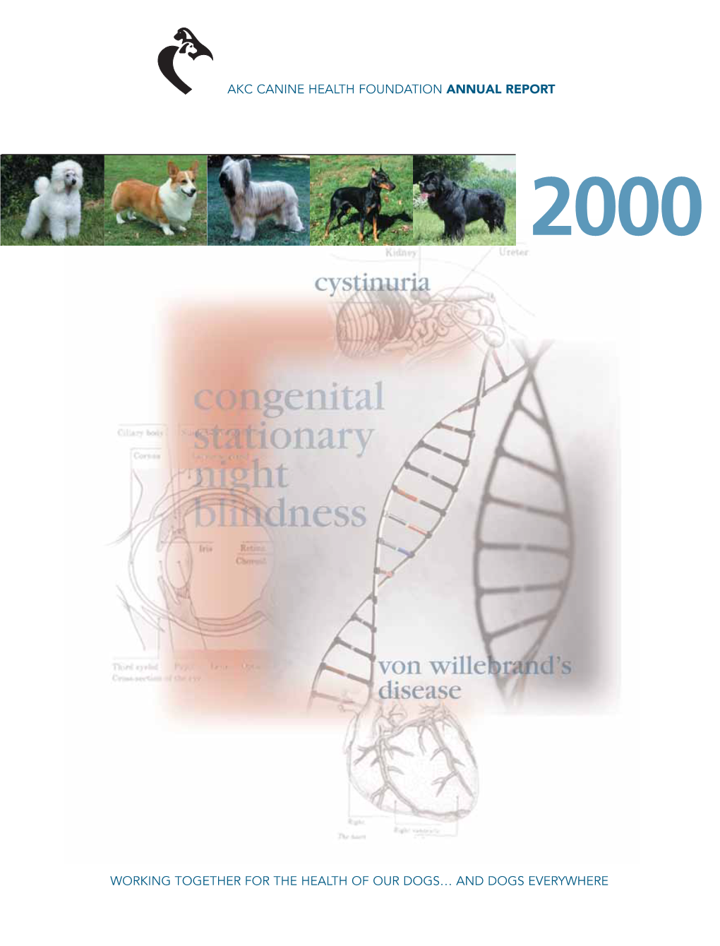 Akc Canine Health Foundation Annual Report 2000