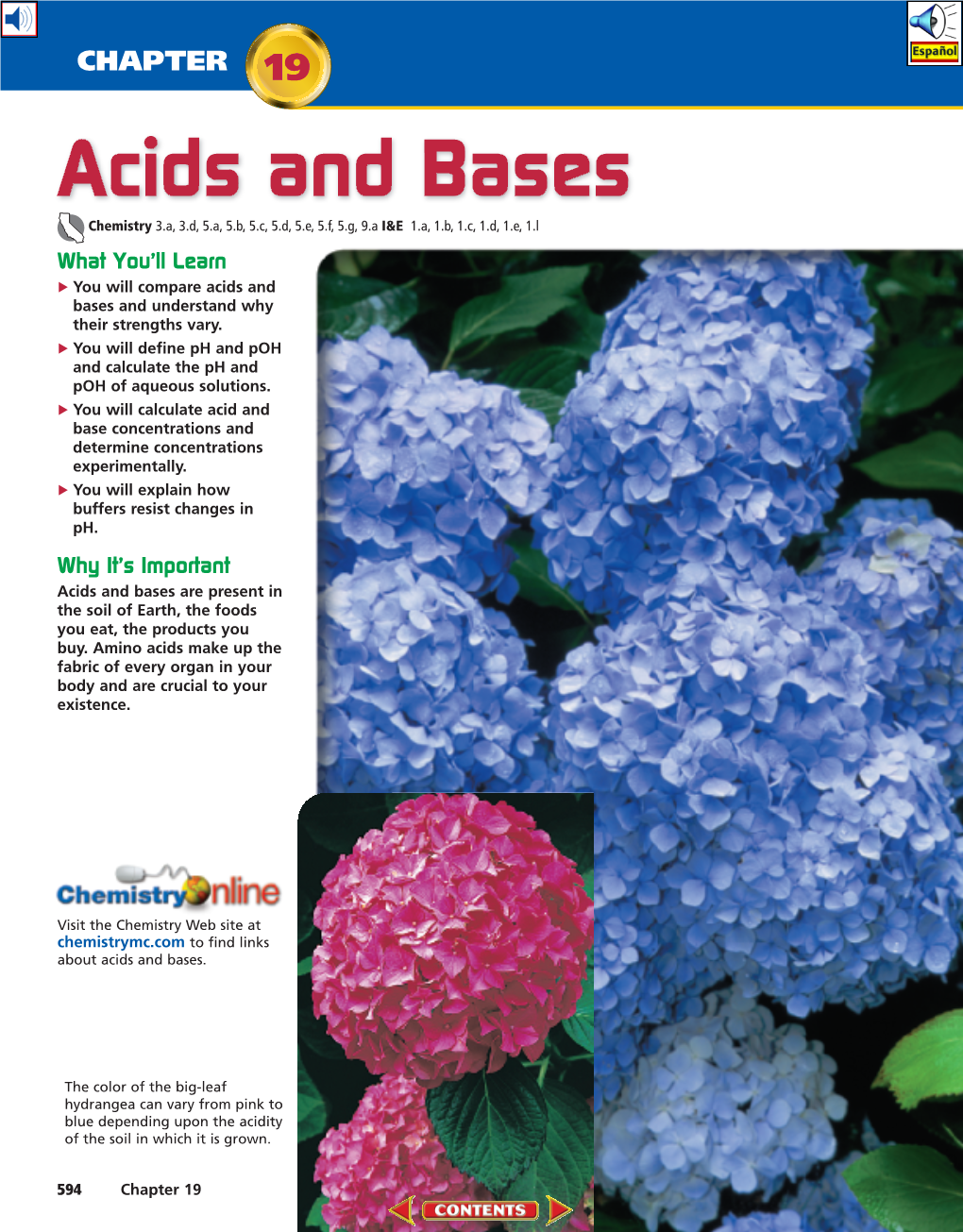 Chapter 19: Acids and Bases