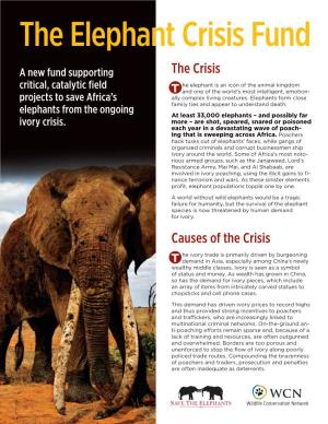 The Elephant Crisis Fund
