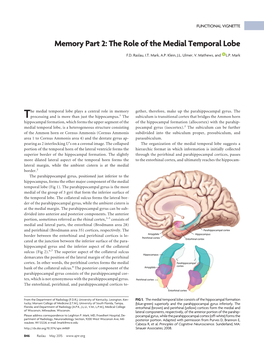 Memory Part 2: the Role of the Medial Temporal Lobe