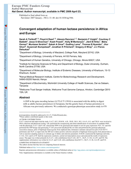 Convergent Adaptation of Human Lactase Persistence in Africa and Europe