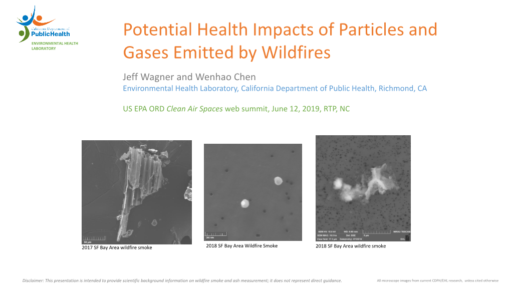 Potential Health Impacts of Particles and Gases Emitted by Wildfires