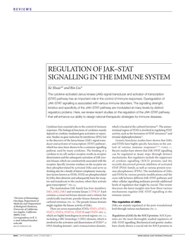 Regulation of Jak–Stat Signalling in the Immune System