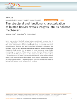 The Structural and Functional Characterization of Human Recq4 Reveals Insights Into Its Helicase Mechanism