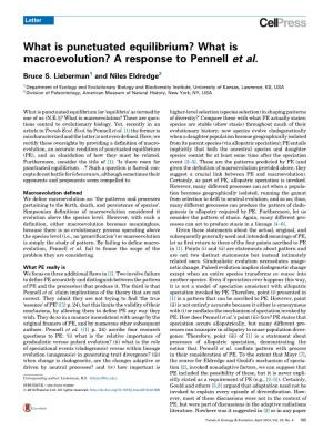 What Is Macroevolution? a Response to Pennell Et