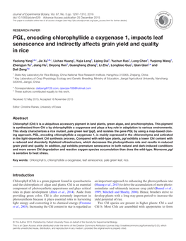 PGL, Encoding Chlorophyllide a Oxygenase 1, Impacts Leaf Senescence and Indirectly Affects Grain Yield and Quality in Rice