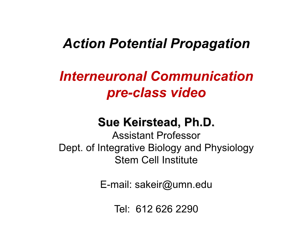 Action Potential Propagation