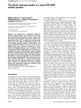 Fidelity of Escherichia Coli DNA Polymerase IV