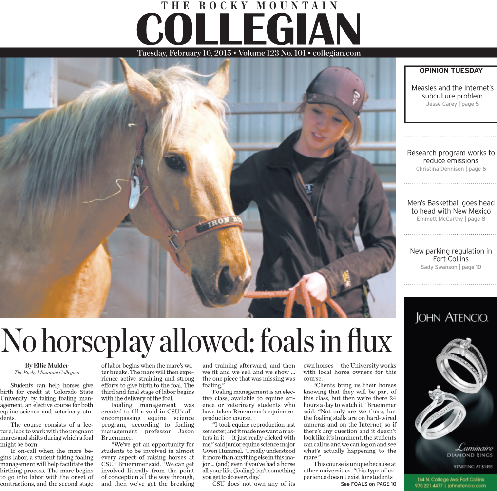 No Horseplay Allowed: Foals in Flux