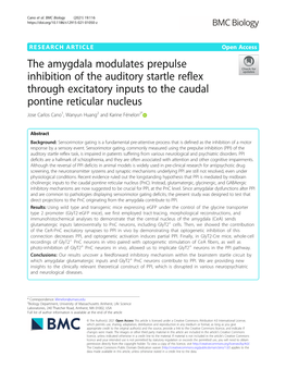 The Amygdala Modulates Prepulse Inhibition of the Auditory Startle