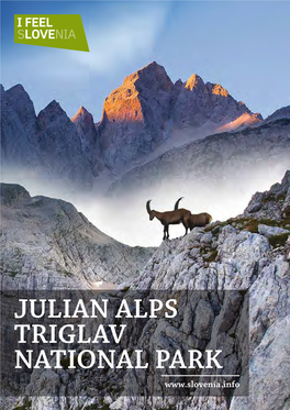 JULIAN ALPS TRIGLAV NATIONAL PARK 2The Julian Alps
