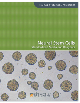 Neural Stem Cells Standardized Media and Reagents