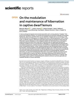 On the Modulation and Maintenance of Hibernation in Captive Dwarf Lemurs Marina B