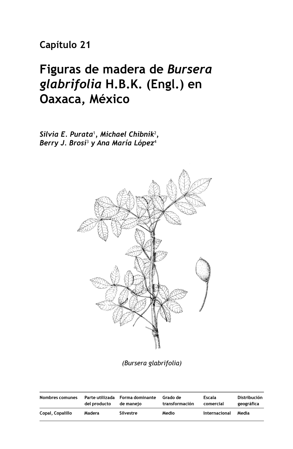 Figuras De Madera De Bursera Glabrifolia HBK (Engl.)