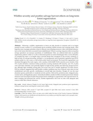 Wildfire Severity and Postfire Salvage Harvest Effects on Long‐Term Forest