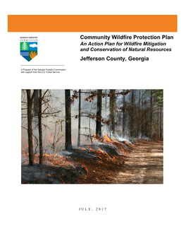 The {NAME HERE} Community Wildfire Protection Plan