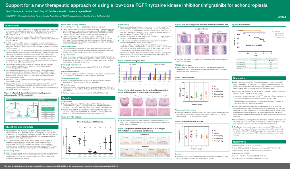 Support for a New Therapeutic Approach of Using a Low-Dose FGFR Tyrosine Kinase Inhibitor (Infigratinib) for Achondroplasia