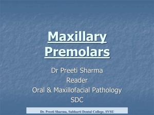 Maxillary Premolars