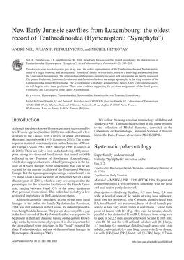 New Early Jurassic Sawflies from Luxembourg: the Oldest Record of Tenthredinoidea (Hymenoptera: “Symphyta”)