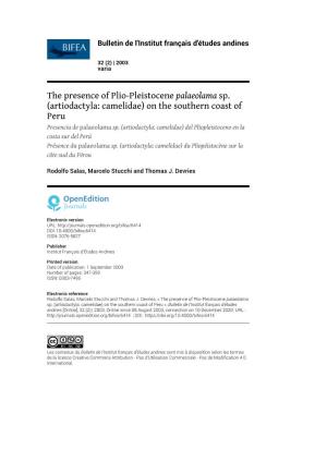 The Presence of Plio-Pleistocene Palaeolama Sp